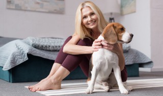 遛狗不拴绳该怎么办（遛小狗不栓绳）