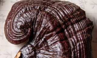 如何保存灵芝最好（如何保存灵芝最好吃）