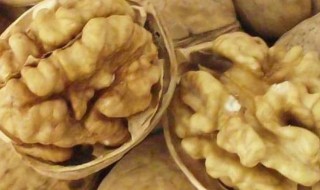 纸皮核桃如何保存 纸皮核桃如何保存不变色