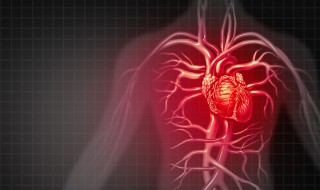 心脏在哪边左还是右（心脏在哪边左还是右 睡姿向哪边）