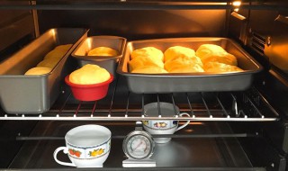 烤箱发酵功能怎么用（美的烤箱发酵功能怎么用）