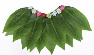 树叶衣服是怎么做的（怎样用树叶做衣服简易）