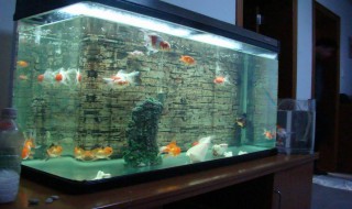 鱼缸摆放风水（客厅鱼缸摆放风水）