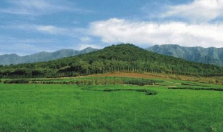 怎样看阴宅风水 怎样看阴宅风水只富不贵