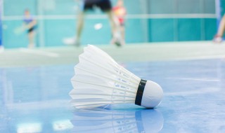 一个羽毛球上一般有几只羽毛（一个羽毛球上一般有几只羽毛球拍）