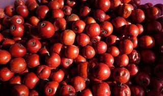 梦见吃酸枣（孕妇梦见吃酸枣）