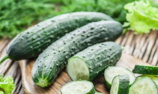黄瓜酸奶减肥方法（黄瓜酸奶减肥方法有哪些）