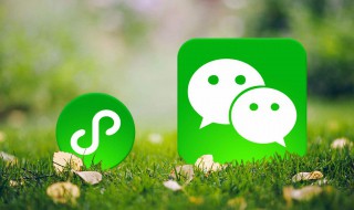 微信小商店从哪里看（微信小商店谁能看到）