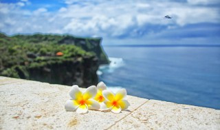 拍风景照小技巧（怎么拍风景照好看技巧）