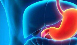 胃酸的主要作用（胃酸的主要作用不包括）