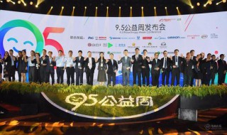 阿里巴巴95公益周是什么 阿里巴巴95公益周是哪一年