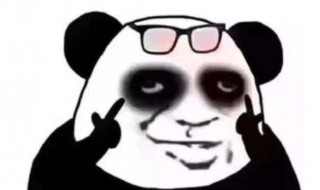 黑眼圈眼袋是什么（什么叫黑眼圈什么叫眼袋）