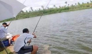 最简便的钓鱼方法 最简便的钓鱼方法图解