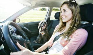 上高速晕车怎么解决 上高速晕车怎么解决视频