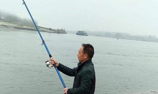 钓鱼线组搭配钓多大鱼 线组钓多大的鱼