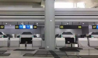 值机是什么意思? 办理值机是什么意思?