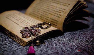 娘惹是啥意思 娘惹是何意?