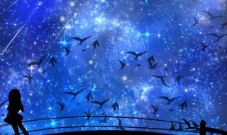 人类还有希望吗是啥梗 所以说人类真是有意思