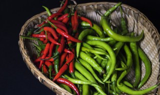 种小米辣的方法 如何种小米辣