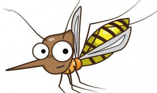 防蚊片怎么做 怎么制作驱蚊片