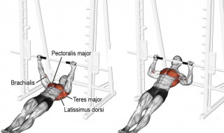 关于后背的运动方法 关于后背的运动方法和技巧