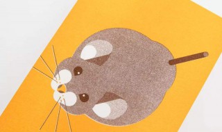 治老鼠的新方法 治老鼠的新方法视频