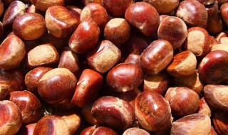 剥板栗壳的方法（剥板栗壳最简单快捷的方法）