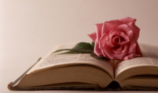 2020最火文案短句 2020最火文案短句搞笑