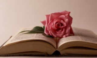 2020爆款文案 2020年最新的文案