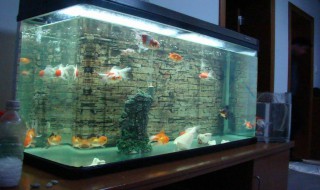 清洗鱼缸的好方法（清洗鱼缸的好方法有哪些）