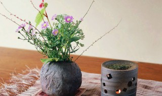 插花的方法 插花的方法和知识