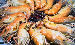 活虾运输的方法（虾的运输方法和流程）