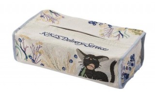 怎么做可爱纸巾盒（怎么做可爱纸巾盒视频）