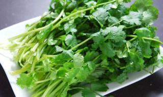 快速切香菜的方法（快速切香菜的方法窍门）