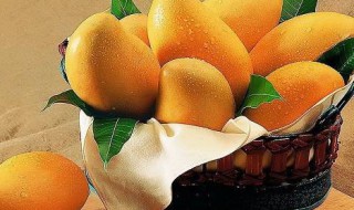 芒果的挑选方法 芒果挑选方法品种