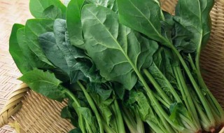 挑菠菜的正确方法 挑菠菜的正确方法视频