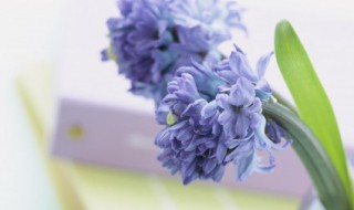 干净温柔签名短句（干净的签名句子）