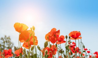 生活励志句子唯美简短（生活励志句子唯美简短短句）