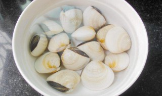 挖白贝的正确方法（挖白贝的正确方法是什么）