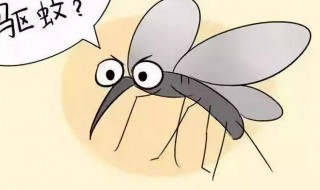 蚊子家庭消灭的简单方法（家庭消灭蚊子的有效方法）