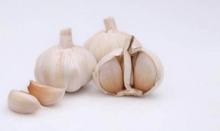 大蒜驱蚊最简单方法（大蒜驱蚊方法小妙招）