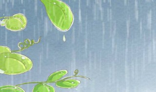 下雨防雨怎么解决（下雨天怎么防雨）