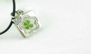 四叶草项链象征什么 四叶草项链象征什么寓意