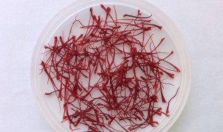 喝藏红花要忌口什么 喝藏红花要忌口什么呢