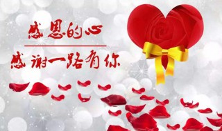 感恩节送老师什么礼物（感恩节送老师什么礼物幼儿园）