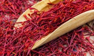 藏红花真假怎么鉴别（藏红花真假怎么鉴别百度百科）