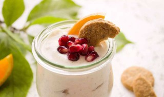 自己做酸奶用什么菌好（自己做酸奶用什么菌好呢）