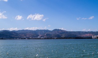 昆明哪些地方好玩 昆明哪些地方好玩风景区