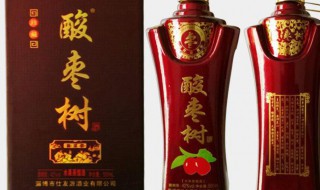 酸枣酒的功效与作用（酒枣的功效和作用）