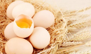 梦见捡鸡蛋 梦见捡鸡蛋,越捡越多